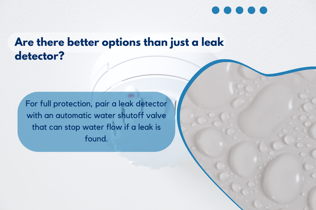 Are there better options than just a leak detector?